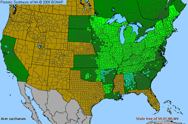 Watauga County Map. Allergies By County Map For