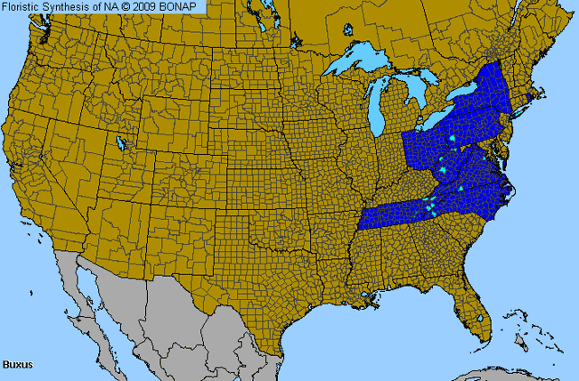 Allergies By County Map For Boxwood