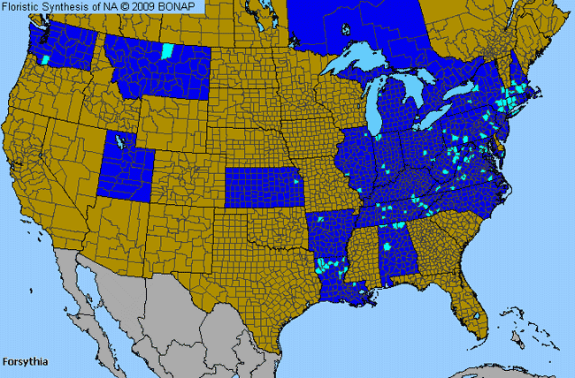 Allergies By County Map For Forsythia