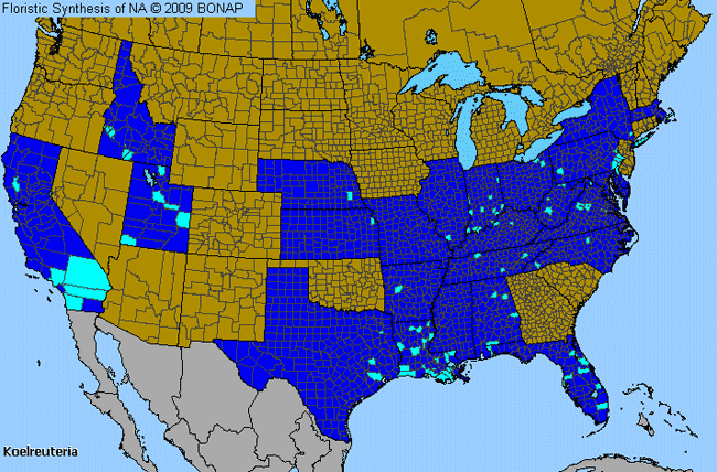 Allergies By County Map For Flamegold, Golden Raintree