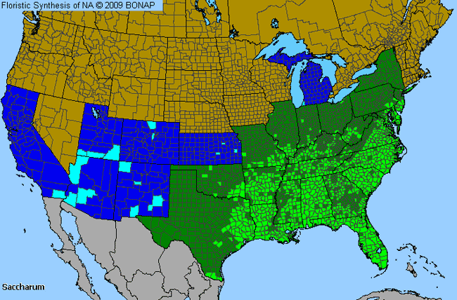 Allergies By County Map For Plume Grass, Sugar-Cane