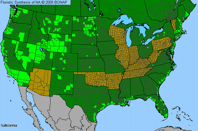 Allergies By County Map For Saltwort