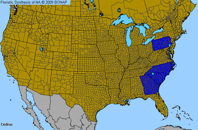 Allergies By County Map For Cedar