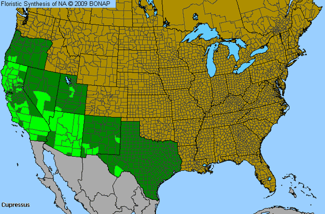 Allergies By County Map For Cypress