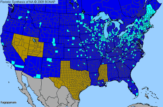 Allergies By County Map For Buckwheat