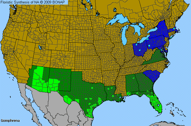 Allergies By County Map For Globe-Amaranth