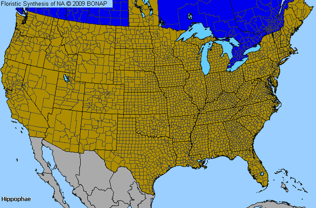 Allergies By County Map For Sea-Buckthorn