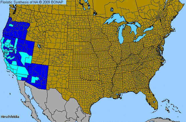 Allergies By County Map For Hoary-Mustard