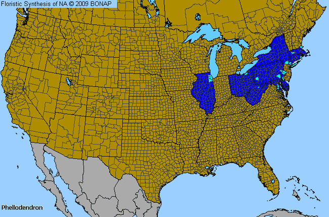 Allergies By County Map For Corktree