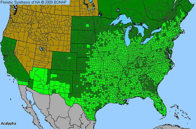 Allergies By County Map For Copperleaf, Three-Seed-Mercury