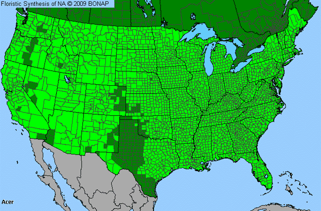 Allergies By County Map For Maple, Box Elder