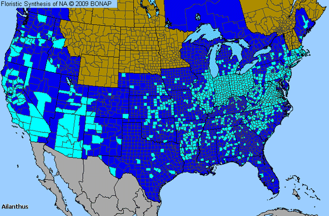 Allergies By County Map For Tree-of-Heaven