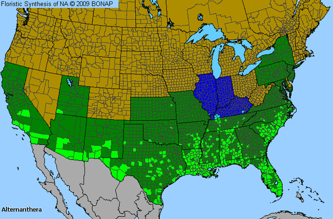 Allergies By County Map For Joyweed