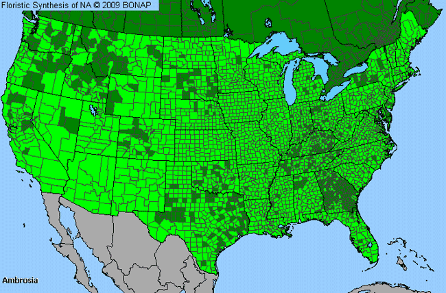 Allergies By County Map For Ragweed, Burr-ragweed