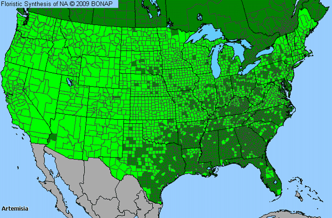 Allergies By County Map For Sagebrush, Wormwood