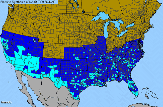 Allergies By County Map For Giant-Reed