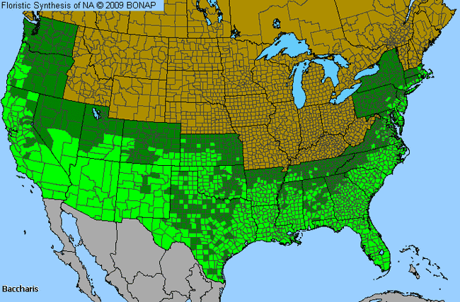 Allergies By County Map For False Willow