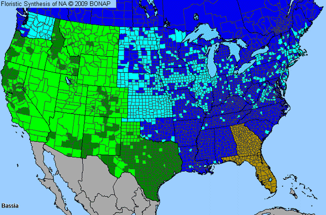 Allergies By County Map For Smotherweed