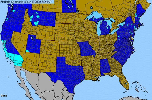 Allergies By County Map For Beet