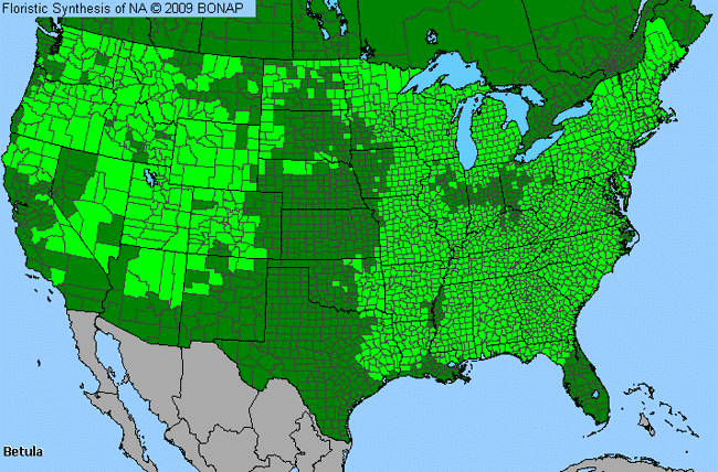 Allergies By County Map For Birch