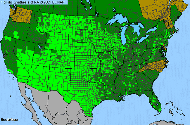 Allergies By County Map For Grama