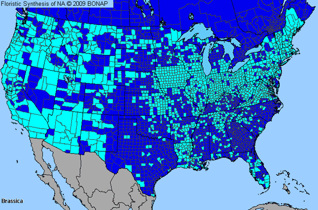 Allergies By County Map For Broccoli, Brussels Sprouts, Cabbage, Cauliflower, Collards, Kale, Kohlrabi, Mustard, Rutabaga