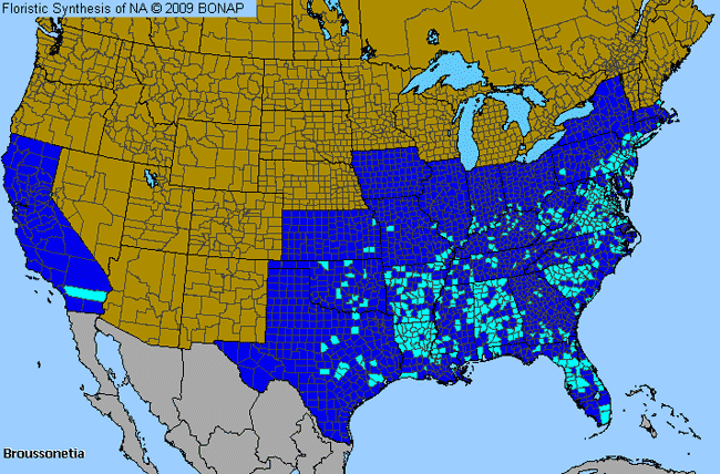 Allergies By County Map For Paper-Mulberry