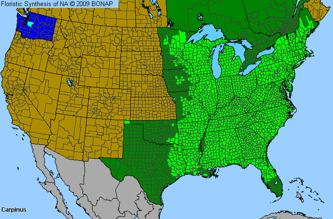 Allergies By County Map For Hornbeam