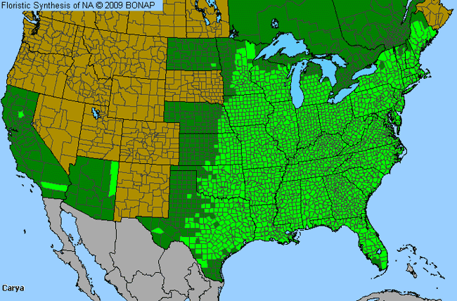 Allergies By County Map For Hickory