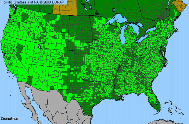 Allergies By County Map For Buckbrush, New Jersey-Tea