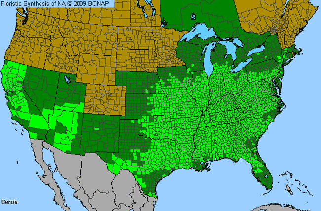 Allergies By County Map For Redbud