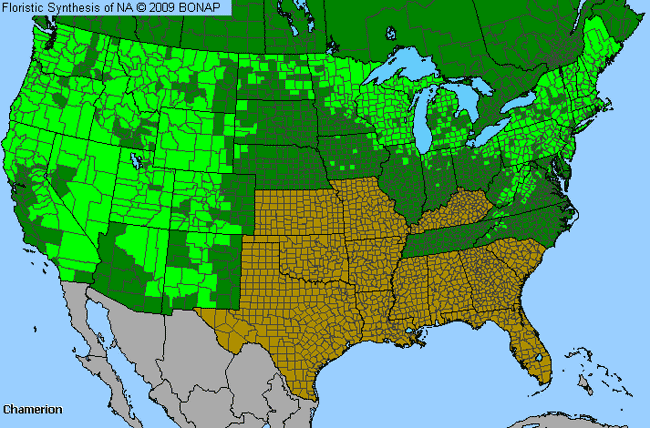 Allergies By County Map For Fireweed