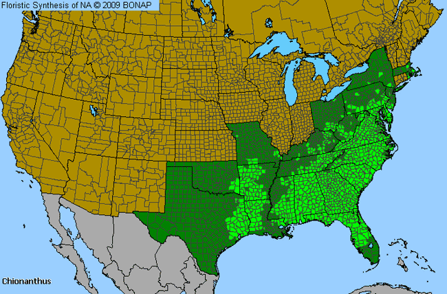 Allergies By County Map For Fringetree