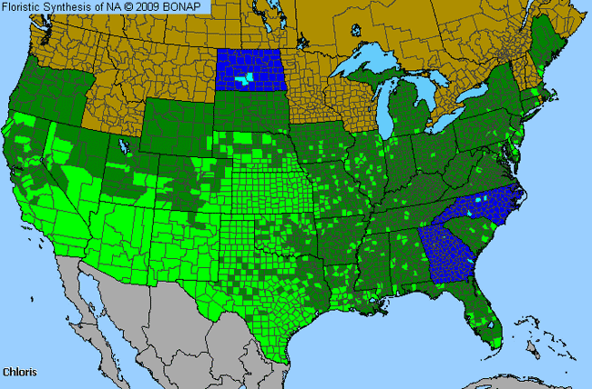 Allergies By County Map For Windmill Grass