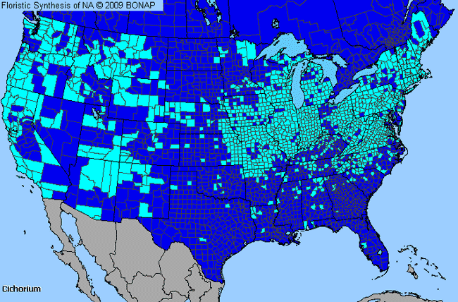 Allergies By County Map For Chicory, Endive