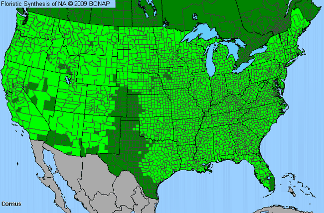 Allergies By County Map For Bunchberry, Dogwood