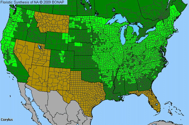 Allergies By County Map For Hazelnut, Filbert