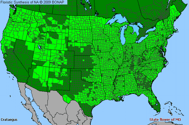 Allergies By County Map For Hawthorn