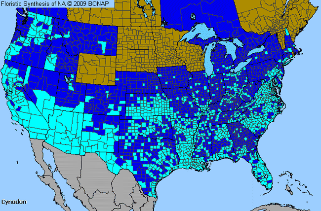 Allergies By County Map For Bermuda Grass, Dog's-Tooth Grass