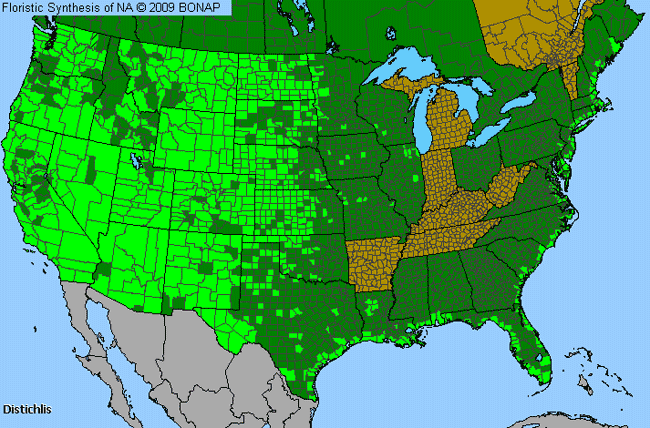 Allergies By County Map For Salt Grass