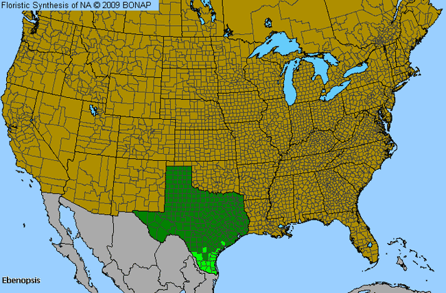 Allergies By County Map For Texas-Ebony