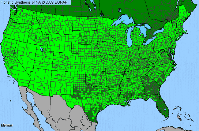 Allergies By County Map For Bottle-Brush Grass, Wild Rye