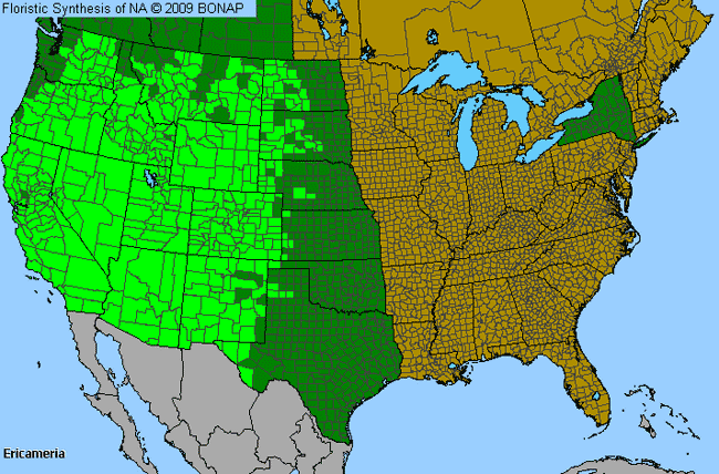 Allergies By County Map For Heath-Goldenrod, Rubber-Rabbitbrush