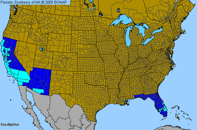 Allergies By County Map For Gum; Eucalyptus