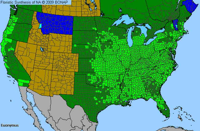 Allergies By County Map For Spindletree, Strawberry-Bush, Wahoo