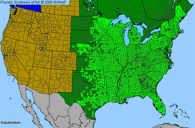 Allergies By County Map For Boneset, Joe-Pye-Weed, Thoroughwort