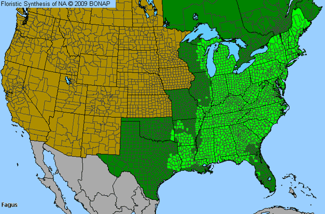 Allergies By County Map For Beech