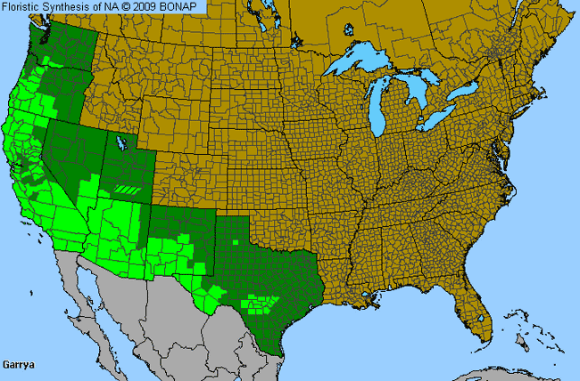 Allergies By County Map For Silktassel