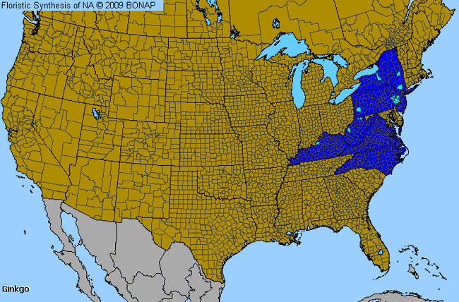 Allergies By County Map For Maidenhair-Tree