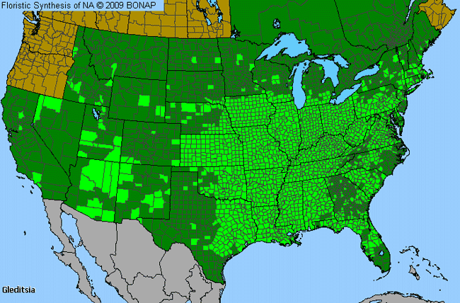 Allergies By County Map For Honey-Locust, Water-Locust